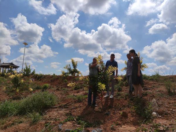 广西热作所科技先锋队赴邕宁区那利镇开展科技服务