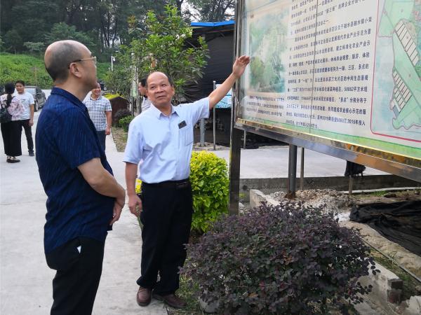 广西热作所所长黄强带队到融水县开展科技扶贫项目蹲点调研工作