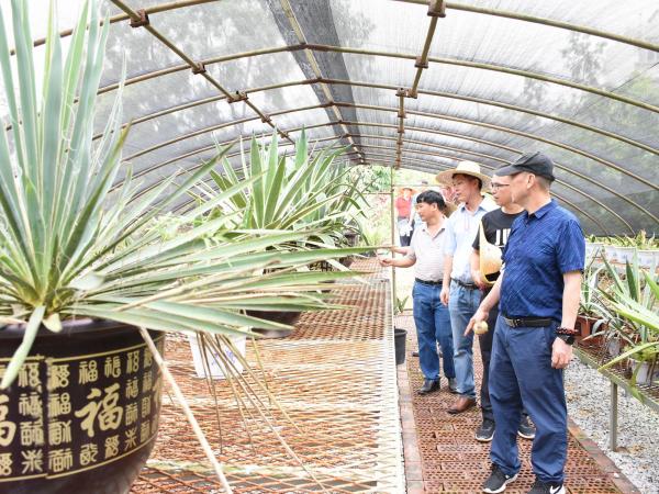 广西热作所顺利开展2020年科研检查工作