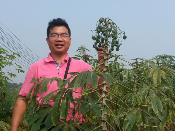 广西木薯研究所新获两项国家发明专利