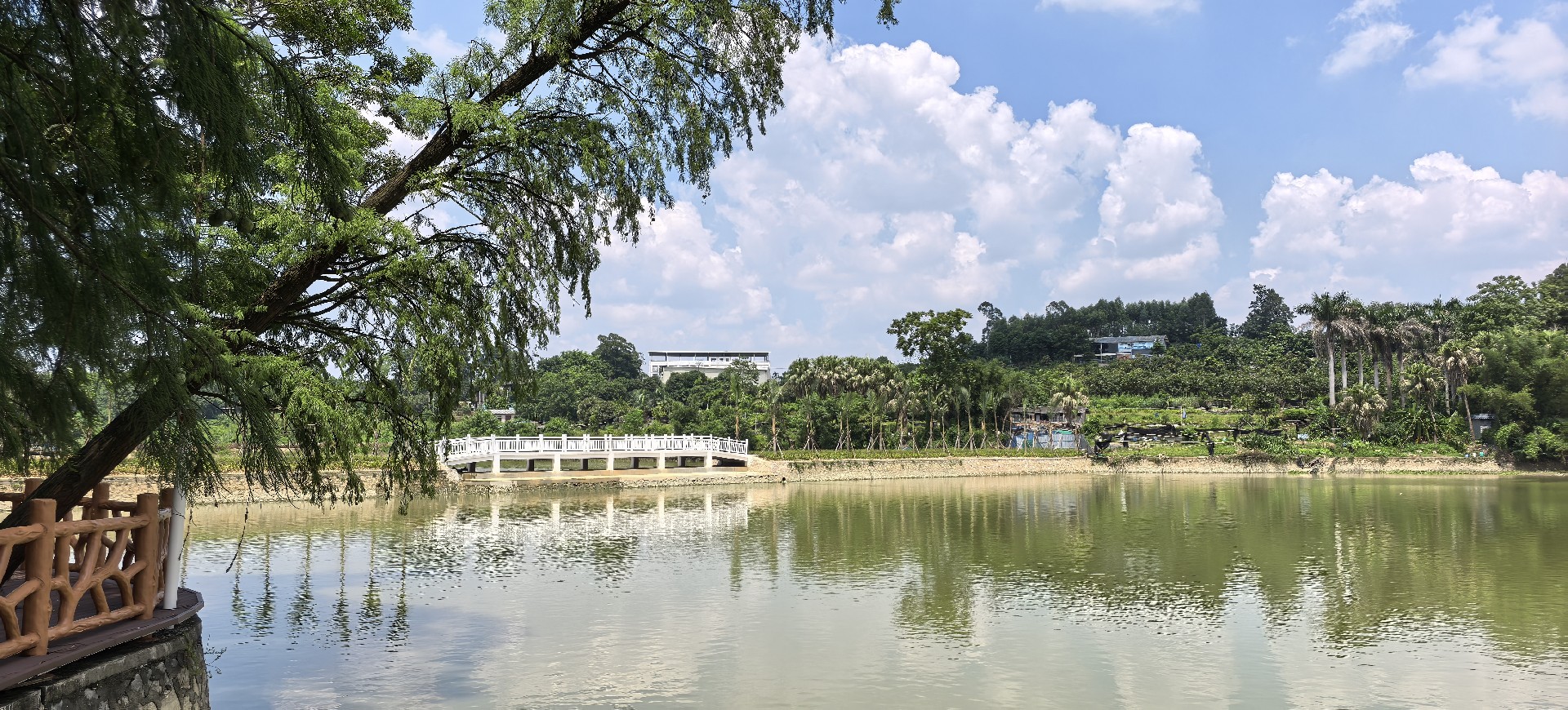 微信图片_20260725141313_789_62.jpg